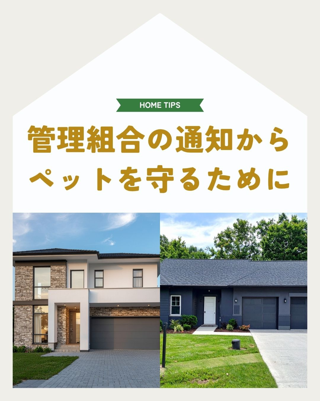 マンション管理組合のペット禁止通知?不動産売買でペットと暮らしを守る方法の画像