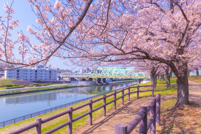 毎年5月に届く『固定資産税の納税通知書』にため息をつく前に…の画像