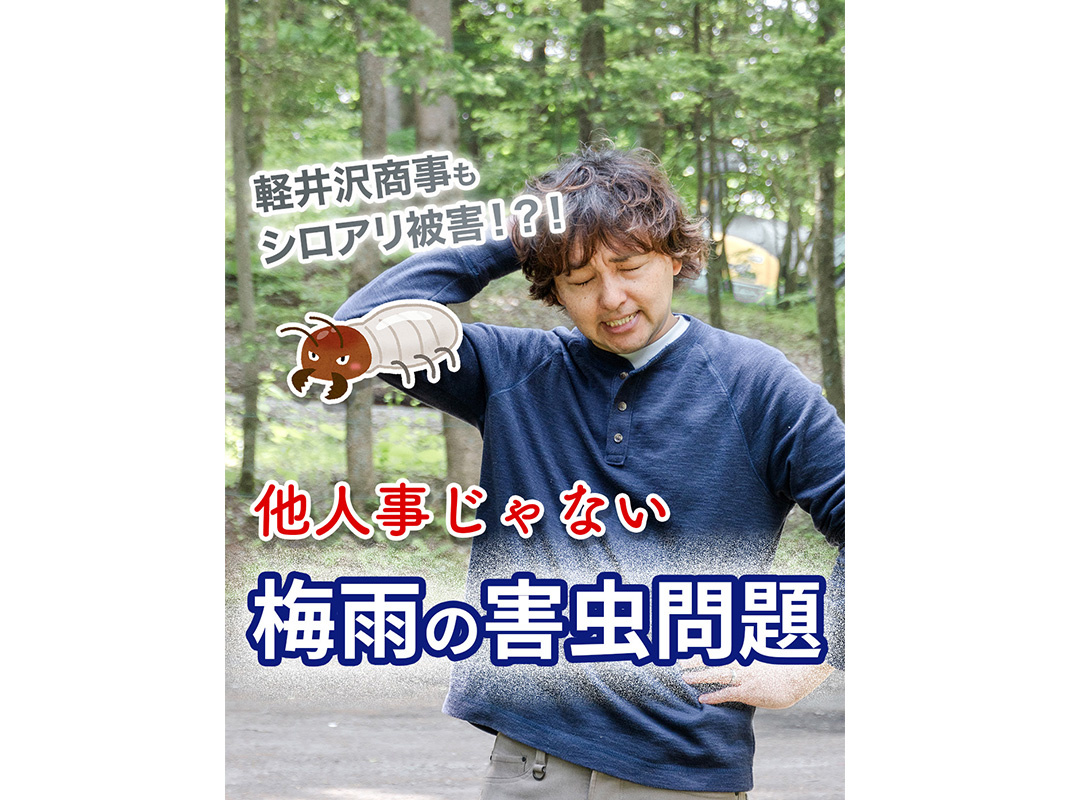 【軽井沢の賃貸経営】軽井沢商事もシロアリ被害！？！他人事じゃない梅雨の害虫問題〜賃貸オーナー様へ〜の画像