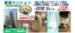 港区に住みたい！【ペット可】賃貸マンション1K｜泉岳寺駅徒歩2分・山手線も徒歩圏内の画像