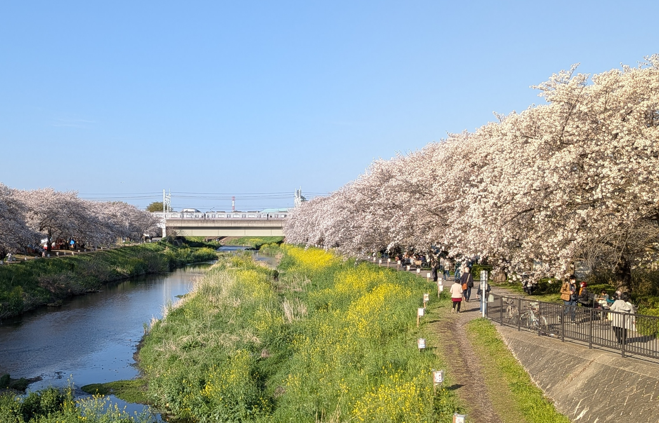 志木朝霞新座和光の交通利便性は？評判など魅力を解説！の画像