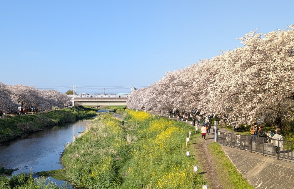 志木朝霞新座和光の交通利便性は？評判など魅力を解説！の画像