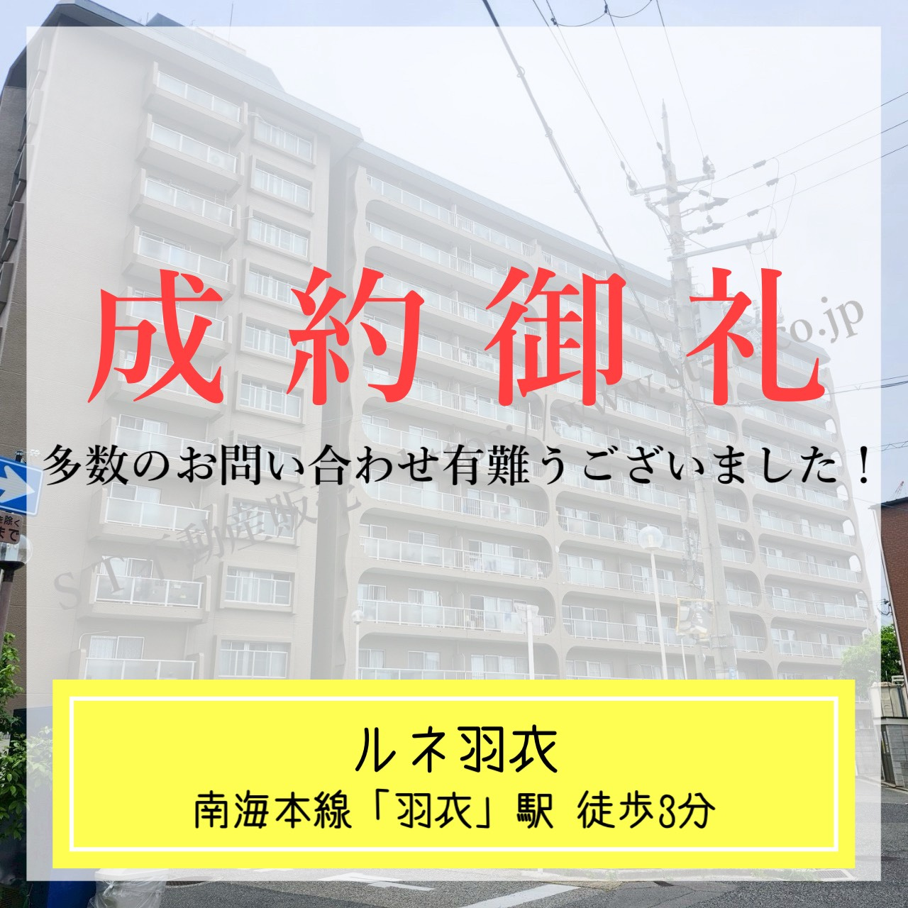 成約御礼【 ルネ羽衣 】の画像