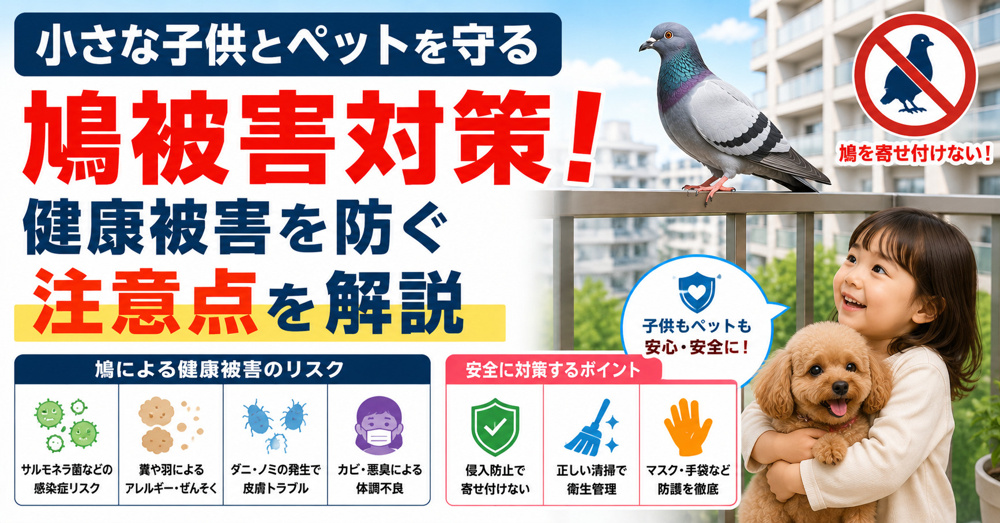 小さな子供とペットを守る鳩被害対策！健康被害を防ぐ注意点を解説の画像