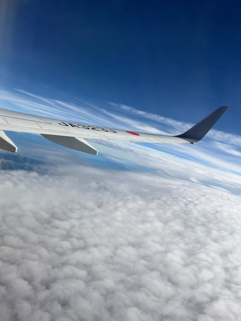 空の旅の画像