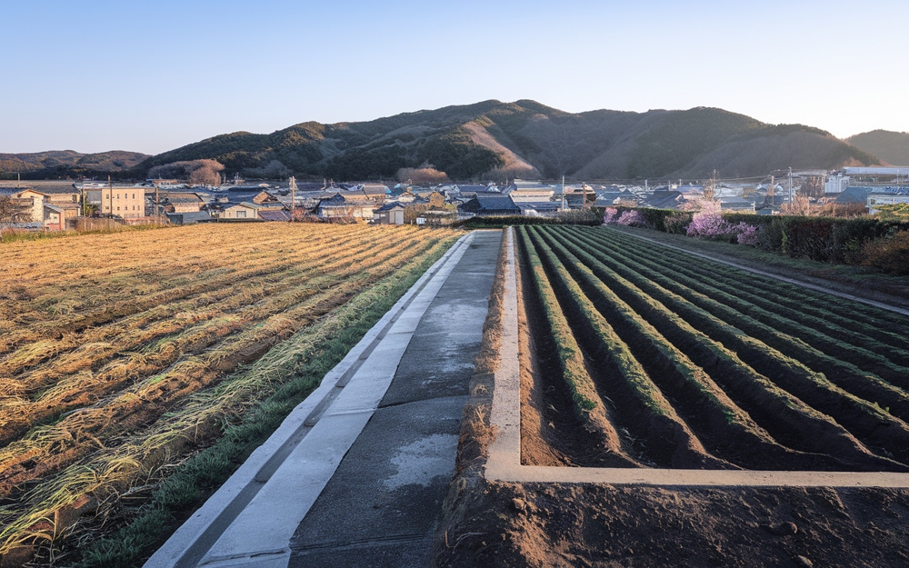 農地の相続放棄は可能か？畑だけ手放したいときの注意点と選択肢を解説の画像