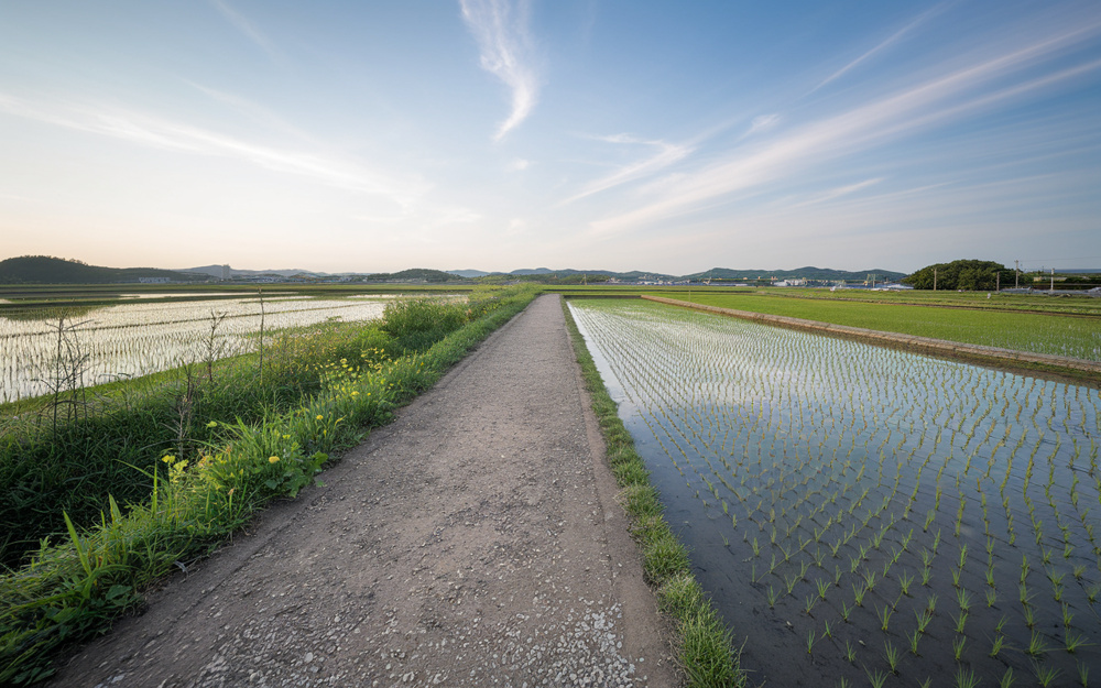 農地の生前贈与は要注意？農業継続義務と途中売却時の税負担を解説の画像
