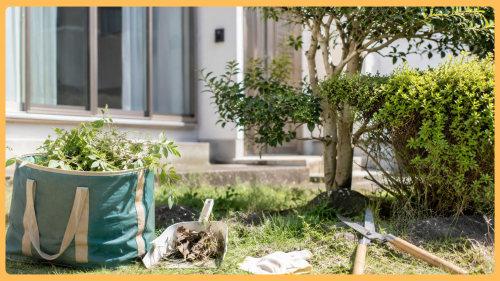 小山市で売却前の庭木と雑草整理は必要？高く早く売るための外回り対策を解説の画像