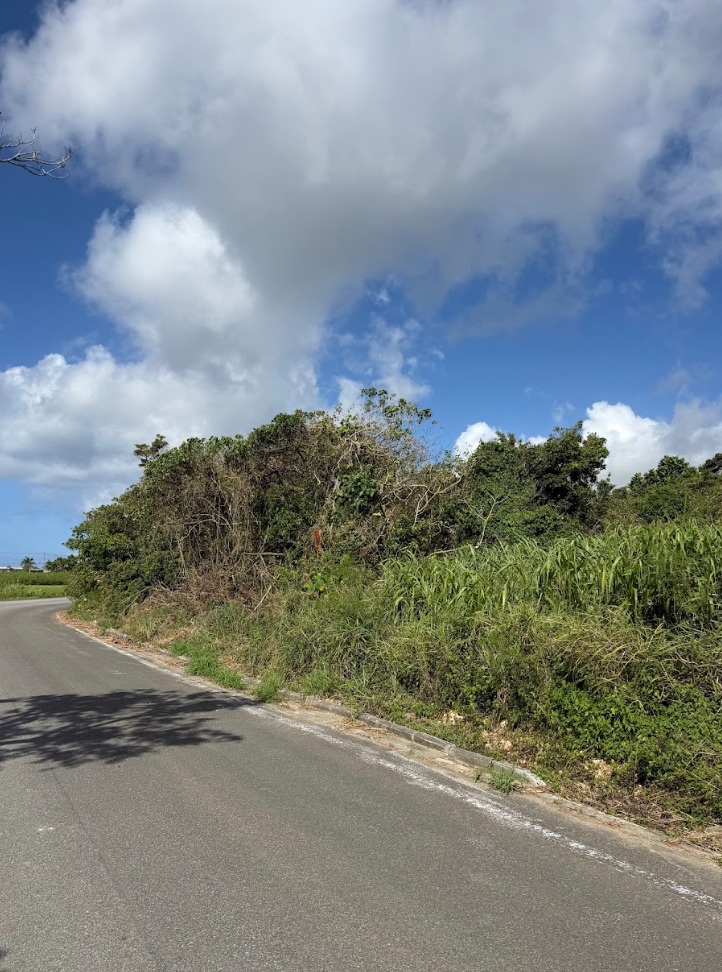 【西里1000坪　原野】　契約しました！の画像