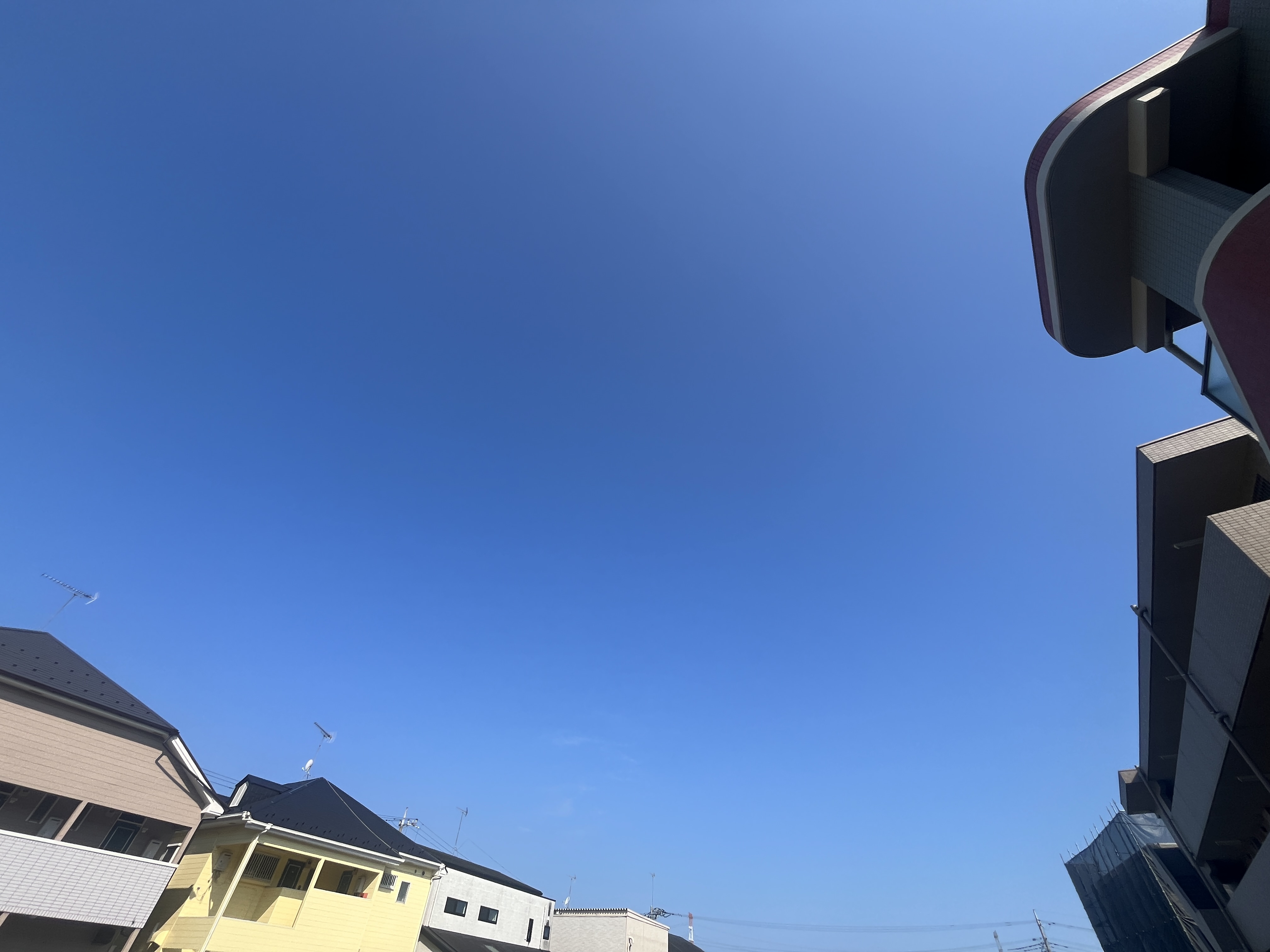 梅雨明け!の画像