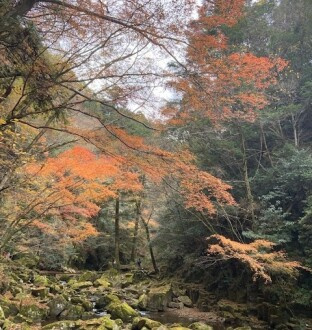  ハシ・ブロ日記　12月号の画像