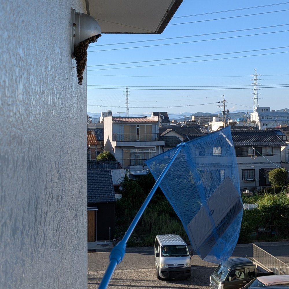 【岐阜の管理会社が緊急対応】アパートの換気扇ダクトにミツバチが営巣！業者駆除後も再発した事例の画像