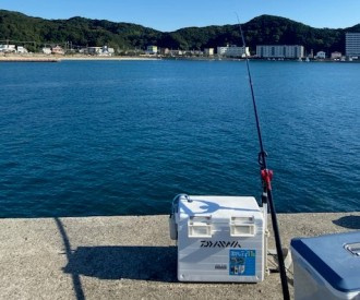 サンマ食べました？の巻の画像