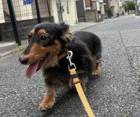 暑過ぎる。。。の画像