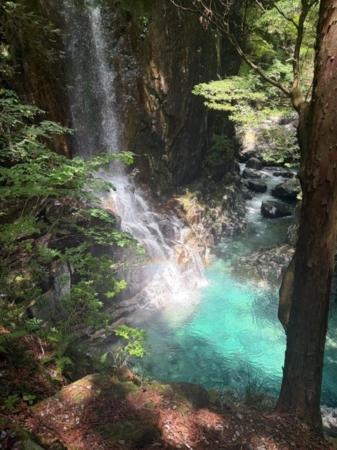 岐阜旅行への画像