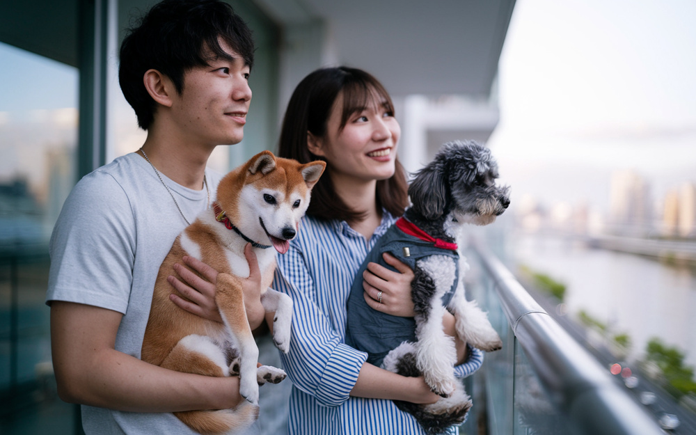 広島市でペットと暮らしやすいエリアは？住宅購入前に知りたい選び方のポイントの画像