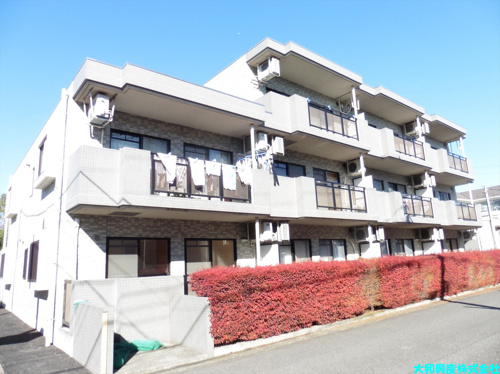 ピュアネクスト