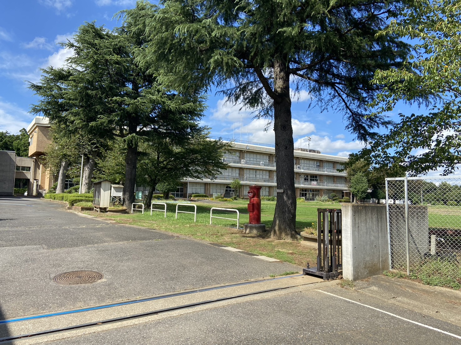 富里市立根木名小学校