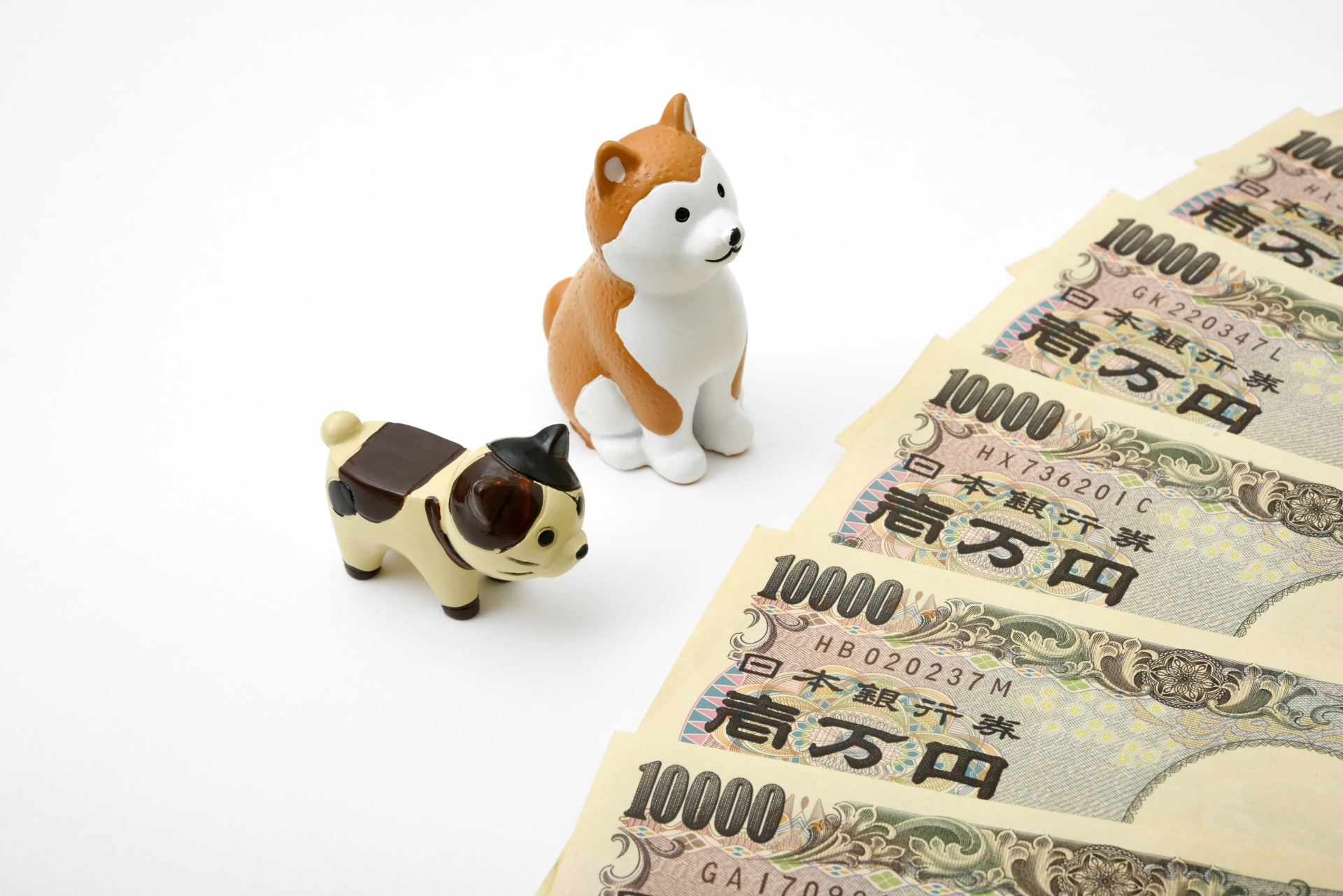 同棲でペットを飼うデメリット
