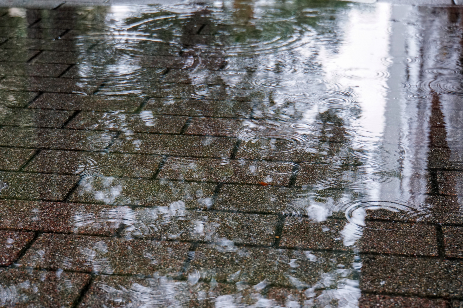 【後編】水害リスクを踏まえた新潟市の住まい選びのポイントの画像