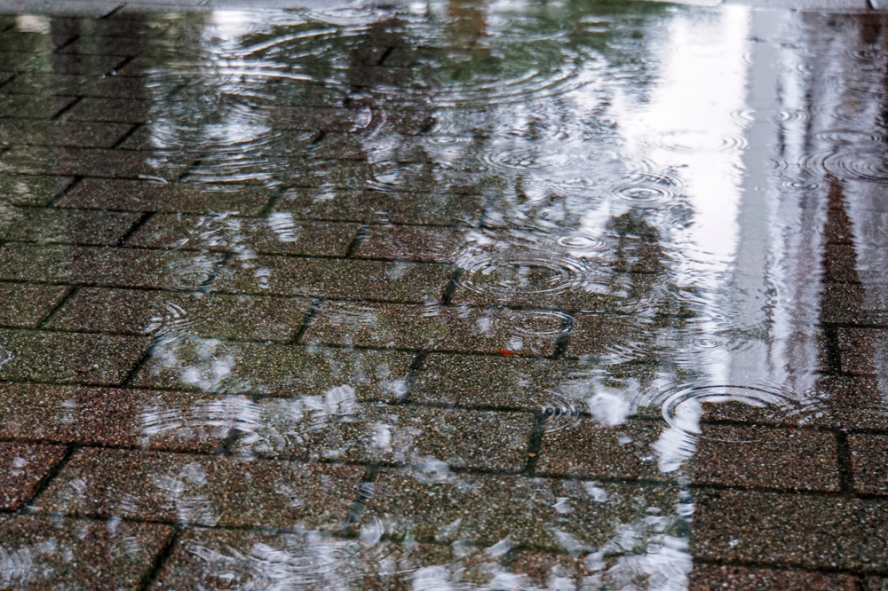 【後編】水害リスクを踏まえた新潟市の住まい選びのポイントの画像