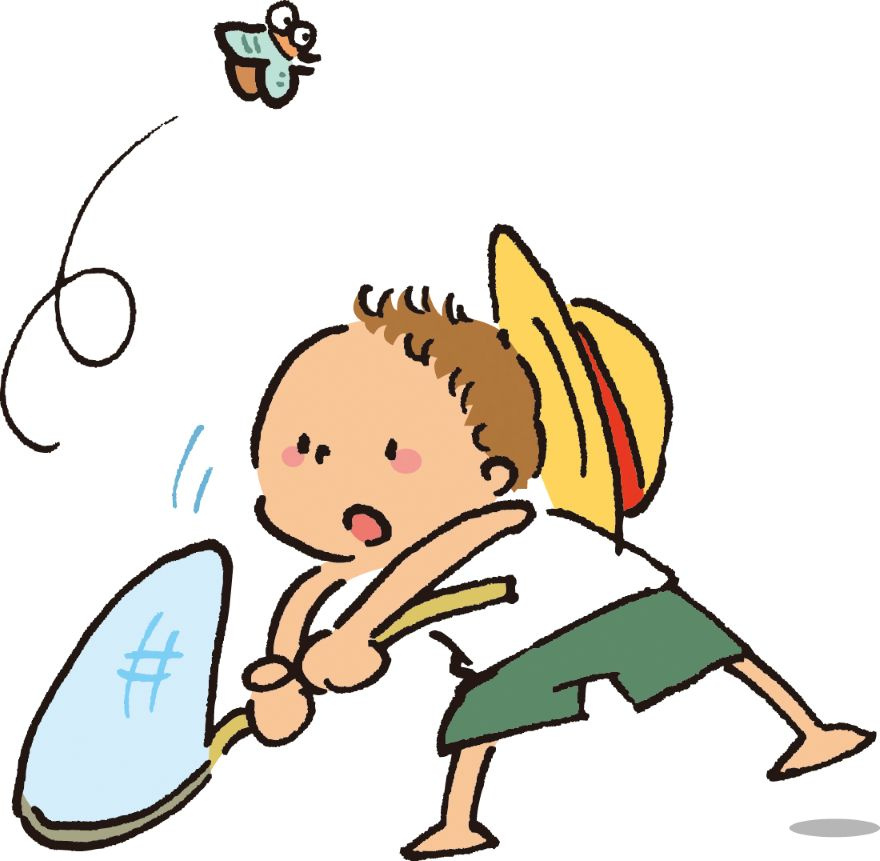 夏の風物詩「セミ」の画像