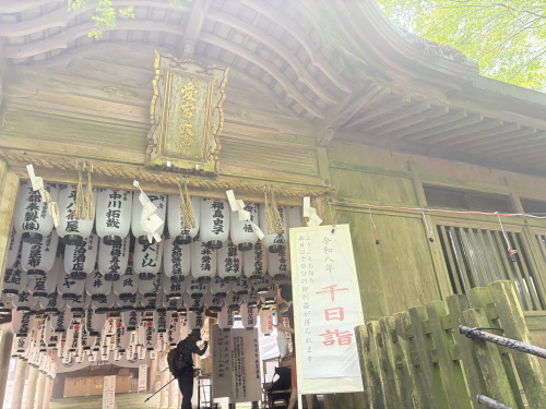 千日詣　2026の画像