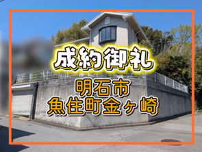成約情報の画像