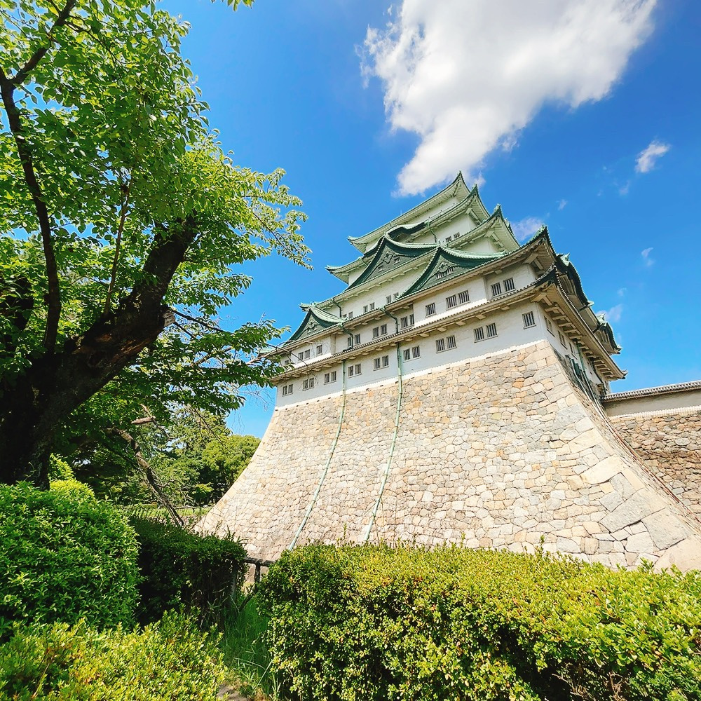 蝉の話②～名古屋編～の画像