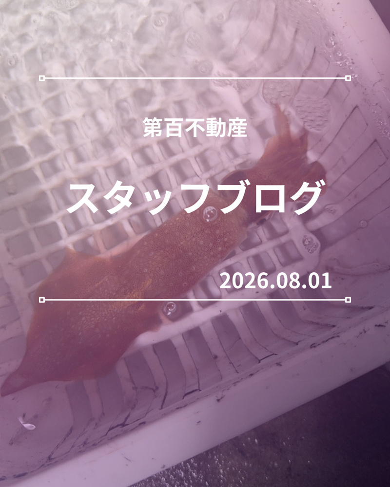久しぶりの夜焚きイカメタル✨の画像