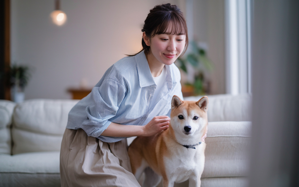 大田区でペット可賃貸を探すコツは?快適に暮らす物件選びのポイント解説の画像