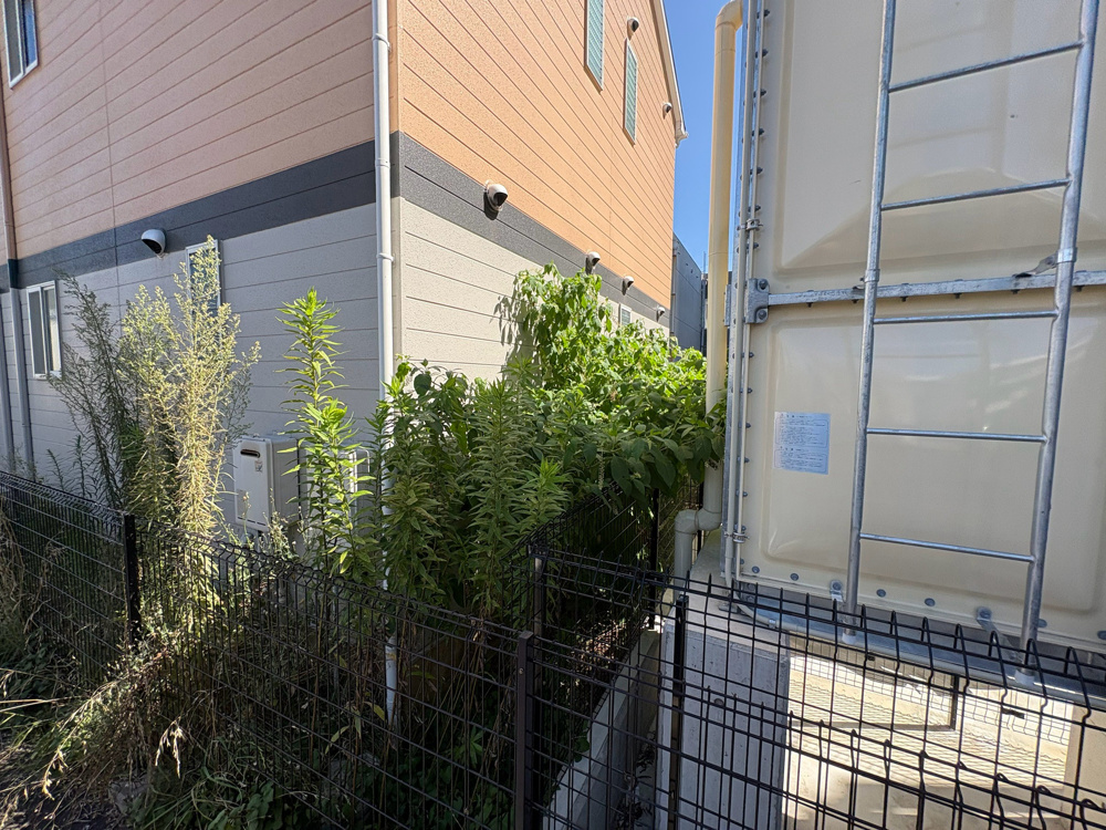 【除草作業】の画像