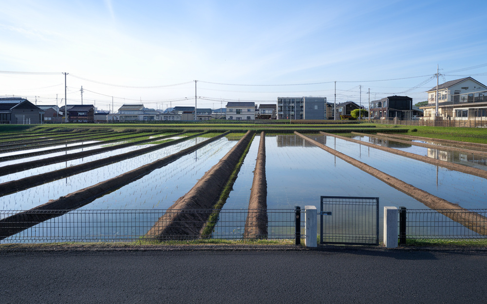 【2026年】小倉南区の農地売却はどう進める？不動産会社選びと手続きの流れを解説の画像