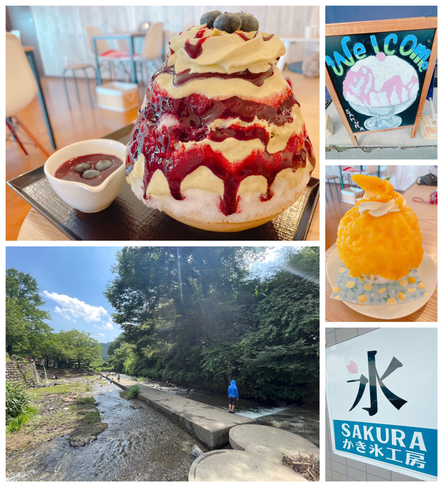 2026年8月5日（水曜）りんごの樹(^^)元気にオープン！の画像