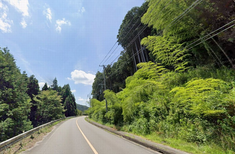 夏の風物詩「おかざきかき氷街道」の魅力と、岡崎で暮らす本当の贅沢の画像