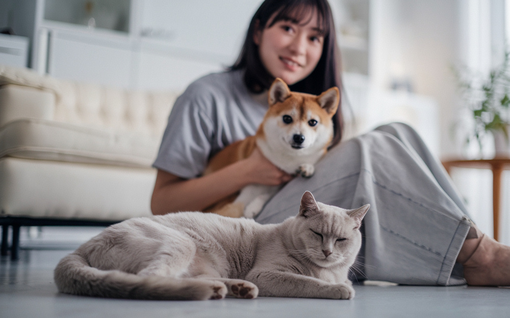住吉区でペット可物件を探す方へ！猫犬OK賃貸マンションの探し方と注意点の画像