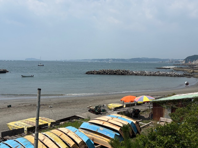 夏ですね～の画像