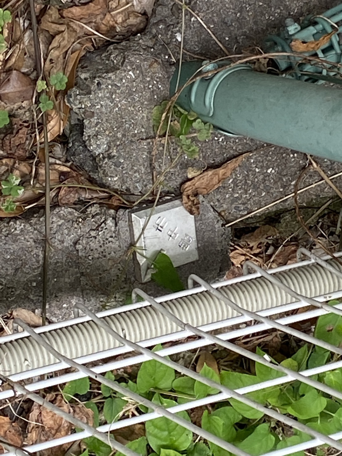 朝から灼熱の境界立会無事終了!の画像