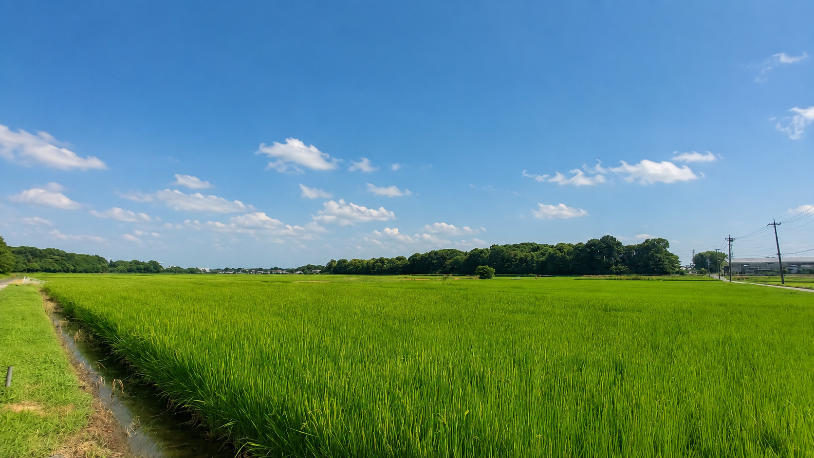 市街化調整区域ってご存じですか??の画像
