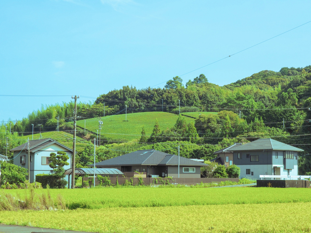 夏の台風前に確認したい空き家管理！リスクを防ぐポイントを所有者目線で解説の画像