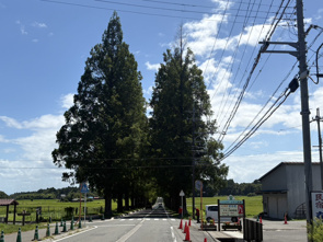 夏らしい良い天気です！の画像