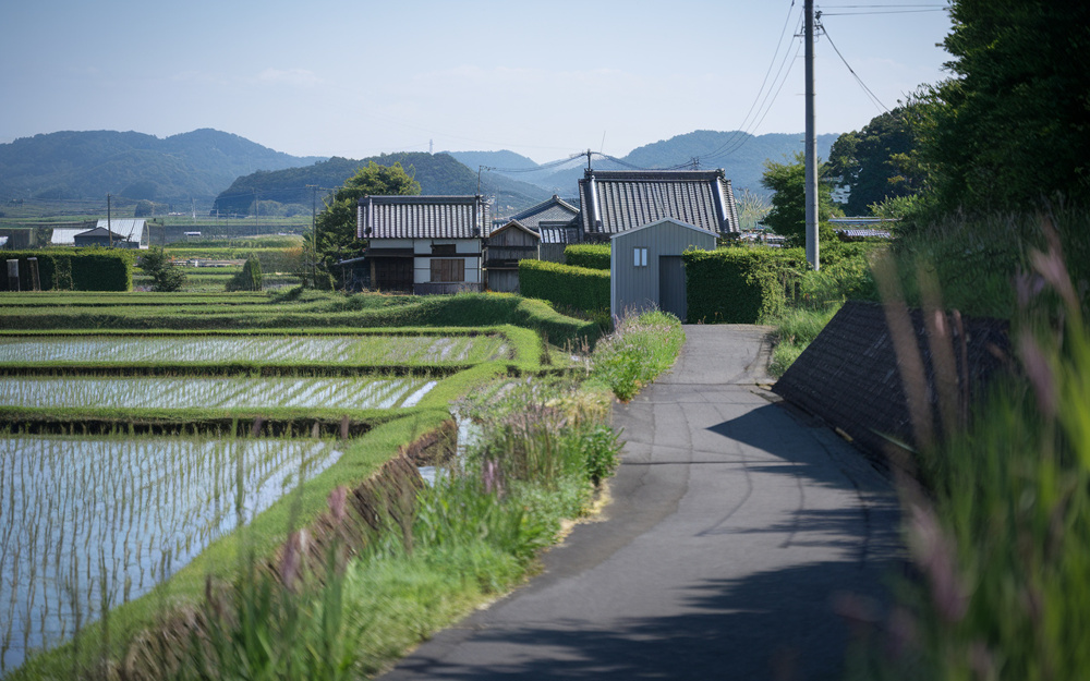 農地の売却方法についての画像