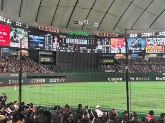 なつのじんの画像