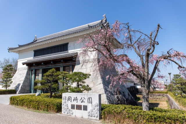 岡崎市の有名な場所を完全網羅｜定番から地元民の穴場までの画像