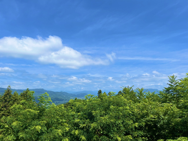 夏も快適 ~伊豆が避暑地としても人気を集める理由~の画像