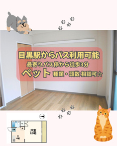 物件のご紹介♪(257)の画像
