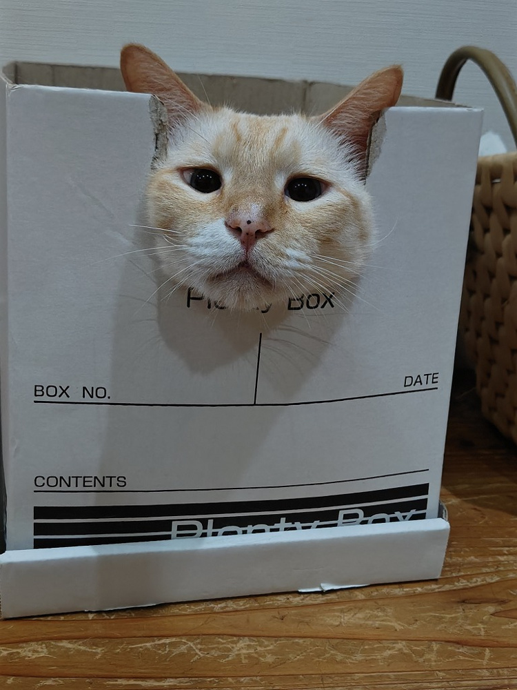 夏バテの画像