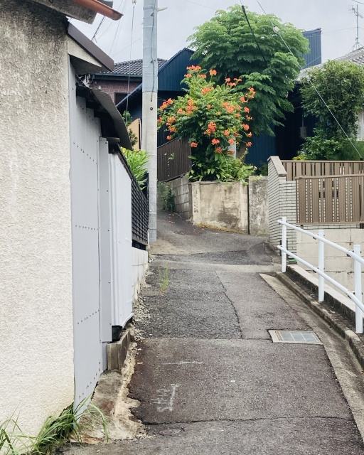 接道義務の4メートルが足りない土地？自宅用購入前に知るべきリスクと確認ポイントの画像