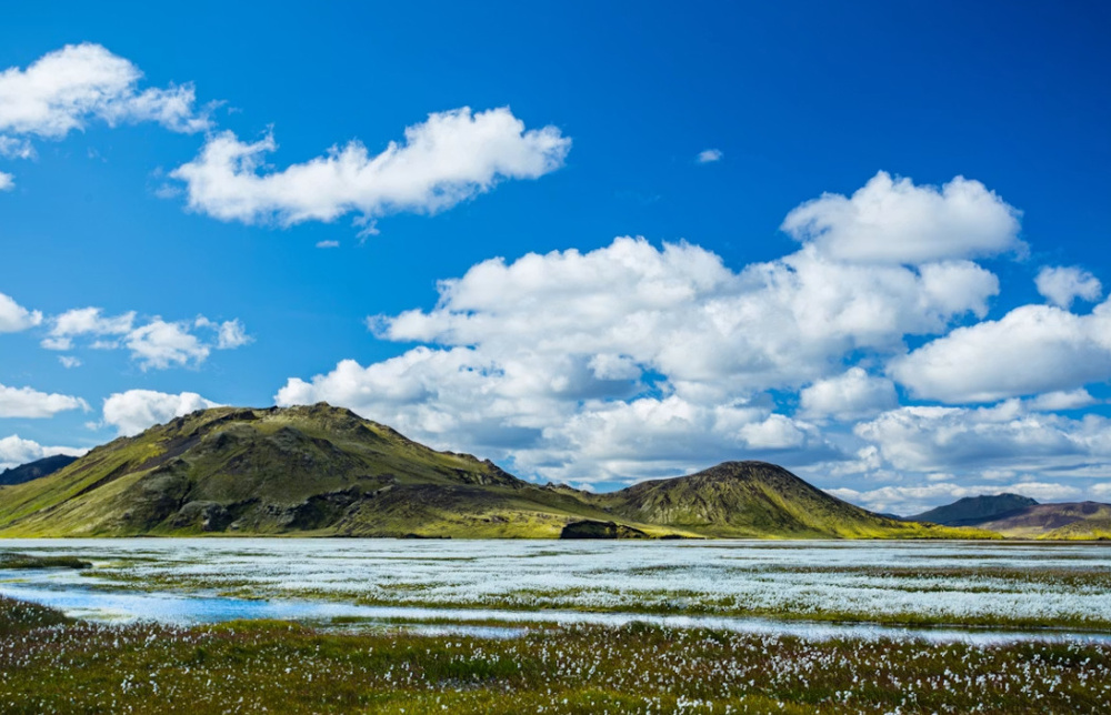 【2026年最新版】八尾市の不動産買取保証とは？買い替えを絶対に成功させる方法の画像