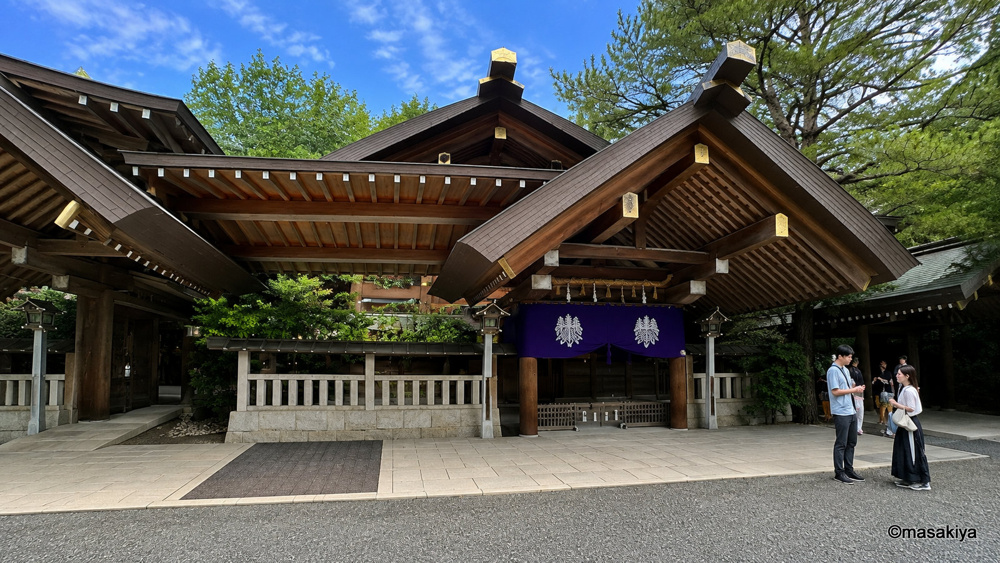 今日のネコの画像